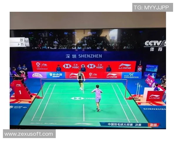深圳羽毛球队在大师赛中的战术分析与表现评估